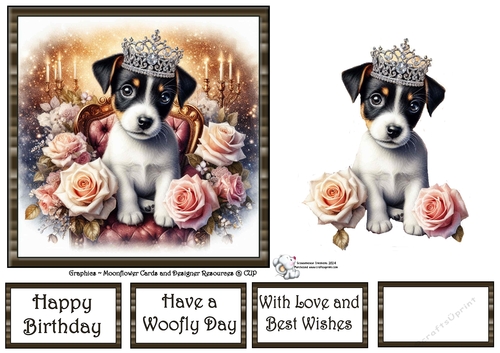 Sweet Tiara Pups (6) 3
