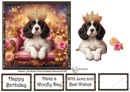 Sweet Tiara Pups (7) 3