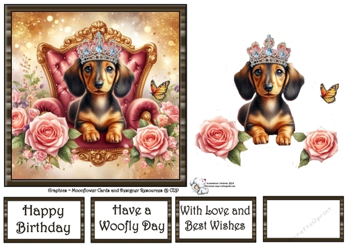 Sweet Tiara Pups (8) 3