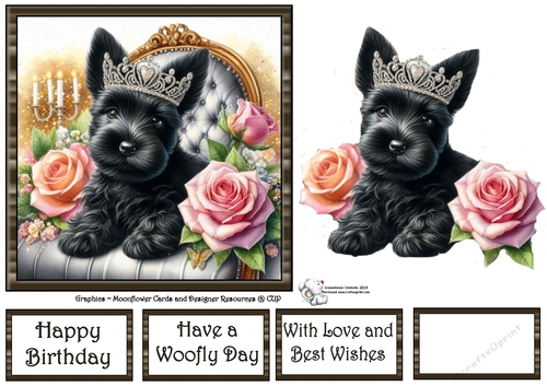 Sweet Tiara Pups (9) 1
