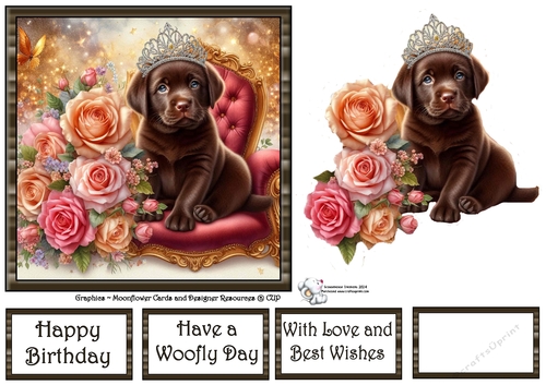 Sweet Tiara Pups (9) 3