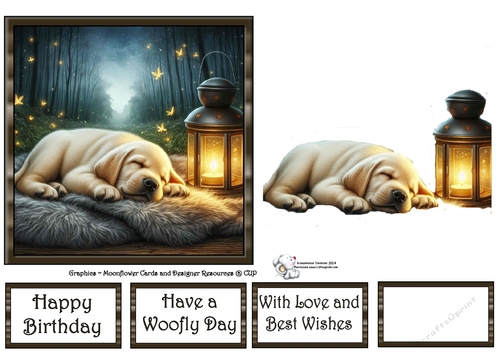 Firefly Lantern Pups (2) 2