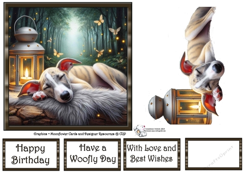 Firefly Lantern Pups (3) 3