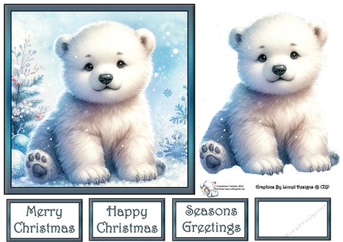 Baby polar bear 1