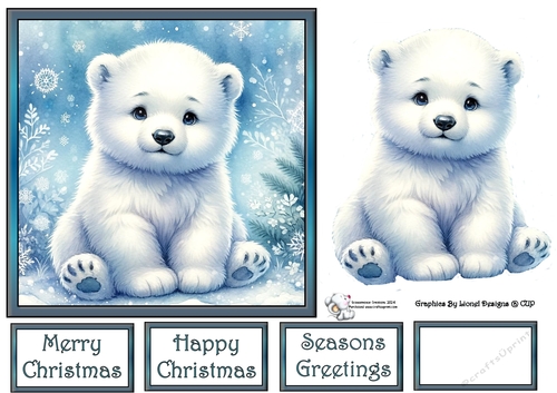Baby polar bear 2