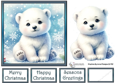 Baby polar bear 3