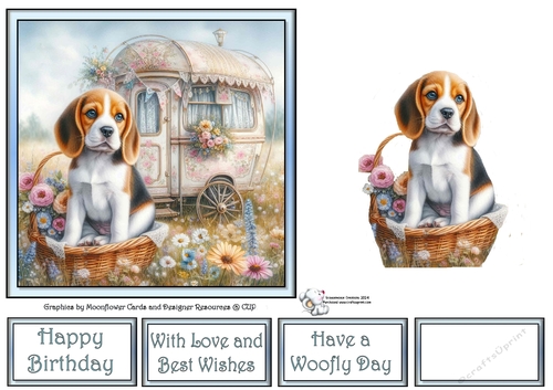 Caravan Pups (5) 3