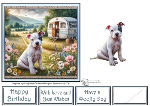 Caravan Pups (7) 2