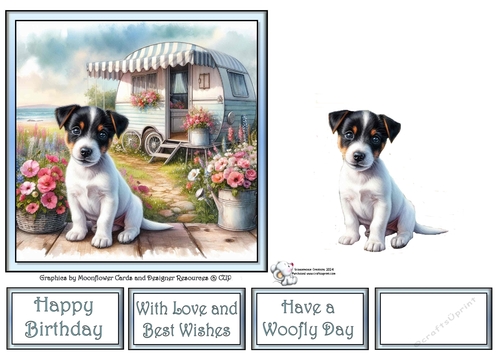 Caravan Pups (8) 1