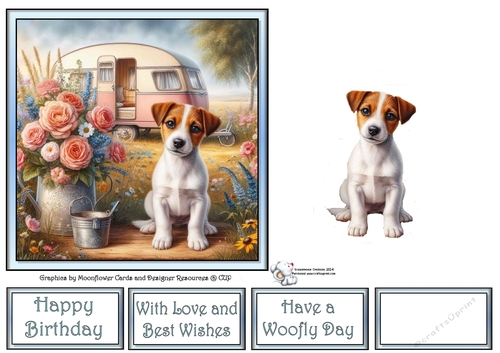 Caravan Pups (8) 3