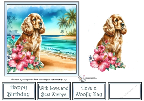 Hibiscus Beach Dogs (1) 1