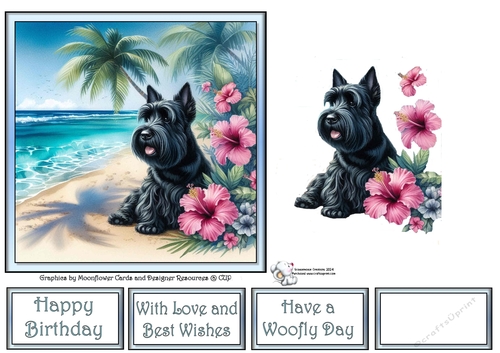 Hibiscus Beach Dogs (1) 2