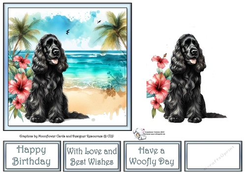 Hibiscus Beach Dogs (1) 3