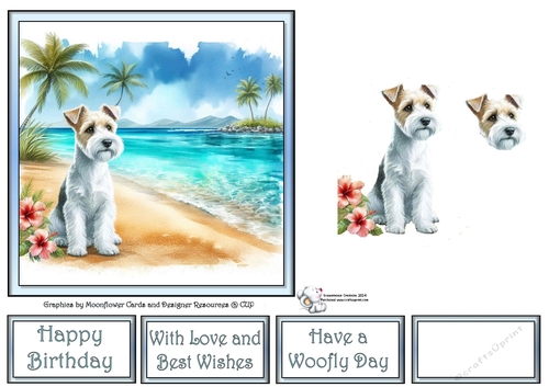 Hibiscus Beach Dogs (2) 1