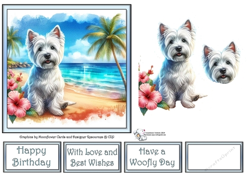 Hibiscus Beach Dogs (2) 2