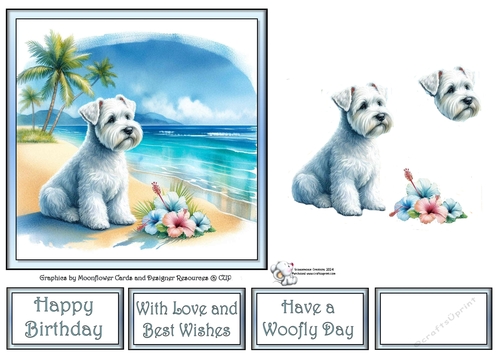 Hibiscus Beach Dogs (2) 3