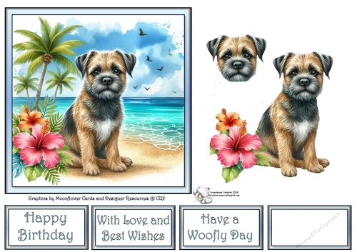 Hibiscus Beach Dogs (2) 4