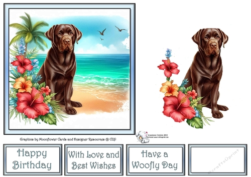 Hibiscus Beach Dogs (3) 1