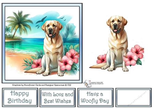 Hibiscus Beach Dogs (3) 2