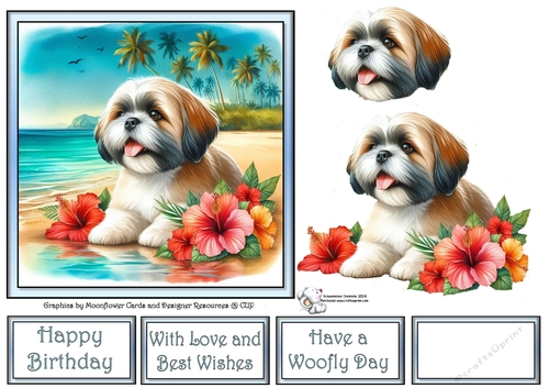 Hibiscus Beach Dogs (3) 3