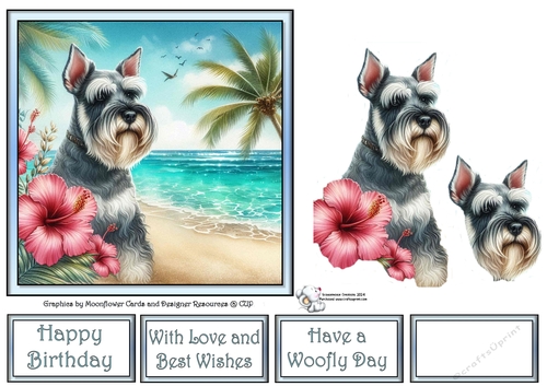 Hibiscus Beach Dogs (4) 2