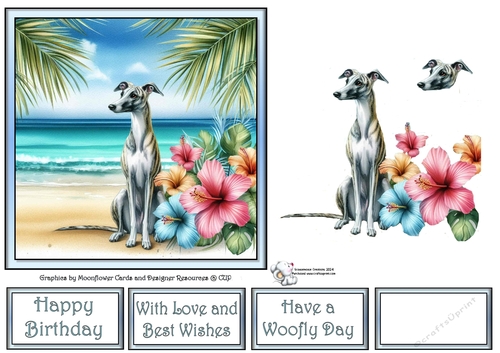 Hibiscus Beach Dogs (4) 3