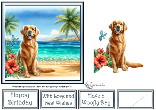 Hibiscus Beach Dogs (5) 2