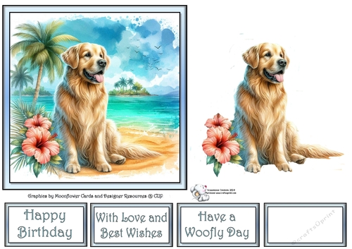 Hibiscus Beach Dogs (5) 3