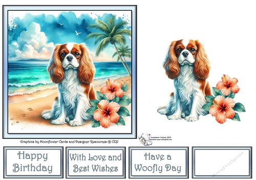 Hibiscus Beach Dogs (6) 2