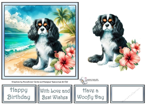 Hibiscus Beach Dogs (6) 3