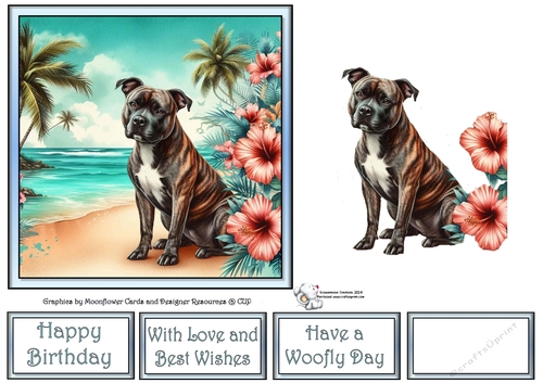 Hibiscus Beach Dogs (7) 2