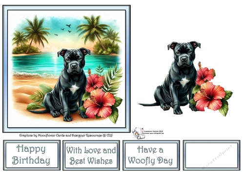 Hibiscus Beach Dogs (7) 3