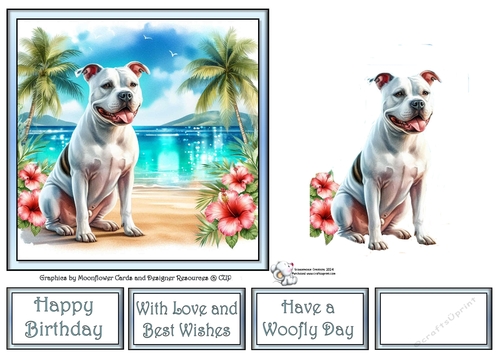 Hibiscus Beach Dogs (7) 4