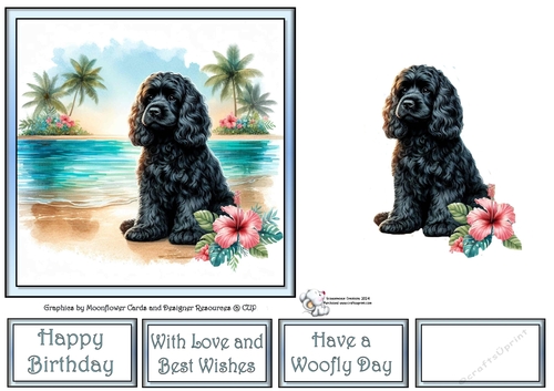 Hibiscus Beach Dogs (8) 1