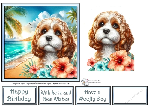 Hibiscus Beach Dogs (8) 2