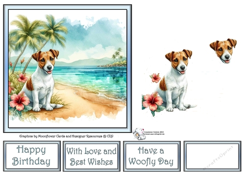 Hibiscus Beach Dogs (8) 3