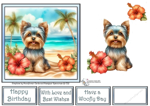 Hibiscus Beach Dogs (9) 1