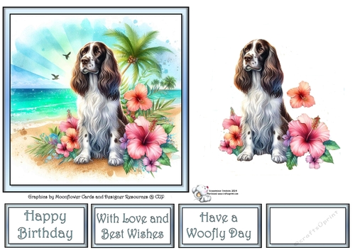 Hibiscus Beach Dogs (9) 2