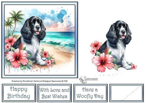 Hibiscus Beach Dogs (9) 3