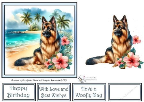 Hibiscus Beach Dogs (10) 1