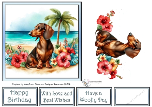 Hibiscus Beach Dogs (10) 2
