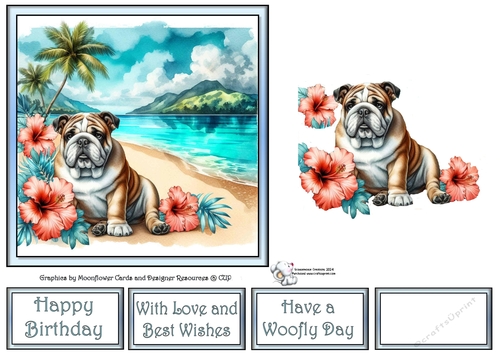 Hibiscus Beach Dogs (10) 3
