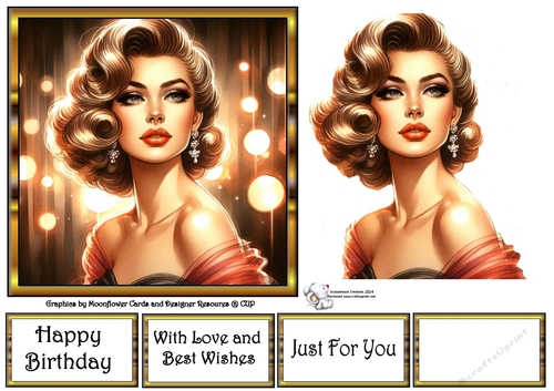  Beautiful Vintage Lady 2