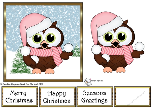 Cute Christmas Little Hoot Owl 5