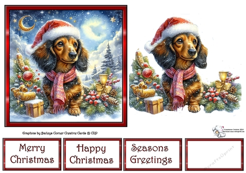 Dashing through the snow (1) 2