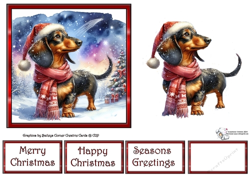 Dashing through the snow (1) 3