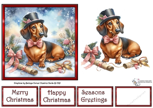 Dashing through the snow (1) 4