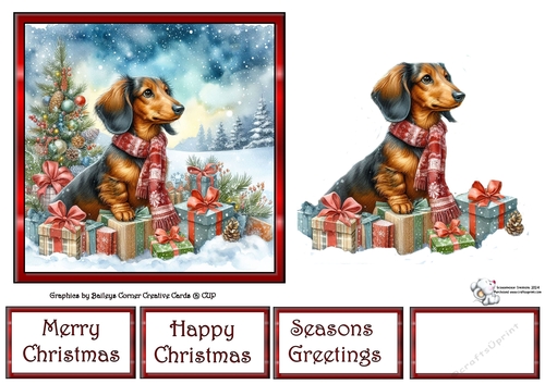 Dashing through the snow (1) 5