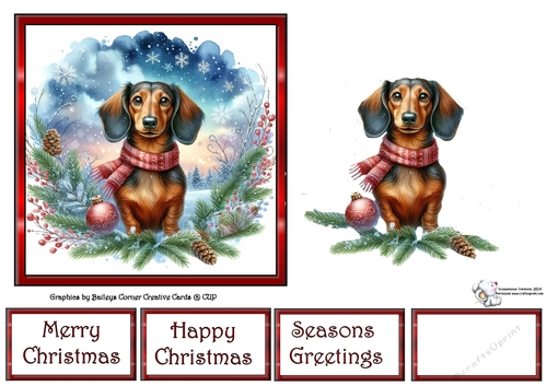 Dashing through the snow (1) 6