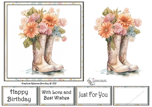 Give it some Welly in Peach (Mix 1) 5